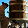 Esther Bricques Fall Wine Harvest